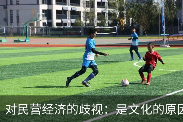 对民营经济的歧视：是文化的原因，还是意识形态的推动